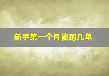 新手第一个月能跑几单