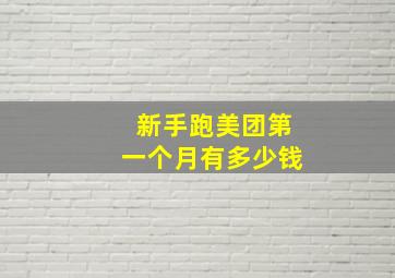 新手跑美团第一个月有多少钱