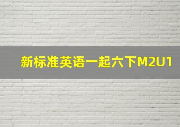 新标准英语一起六下M2U1