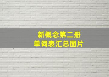 新概念第二册单词表汇总图片