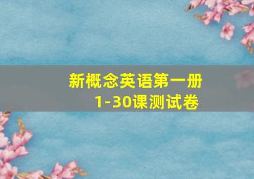 新概念英语第一册1-30课测试卷