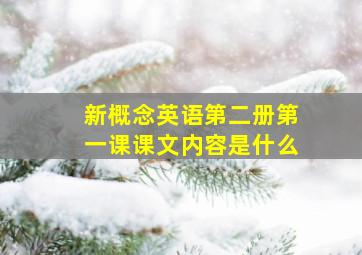 新概念英语第二册第一课课文内容是什么