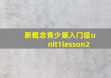 新概念青少版入门级unit1lesson2