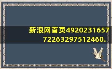 新浪网首页492023165772263297512460.160.935240832