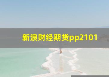 新浪财经期货pp2101