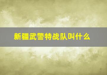 新疆武警特战队叫什么