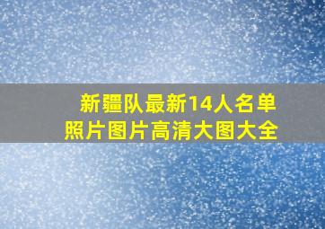 新疆队最新14人名单照片图片高清大图大全