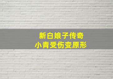 新白娘子传奇小青受伤变原形