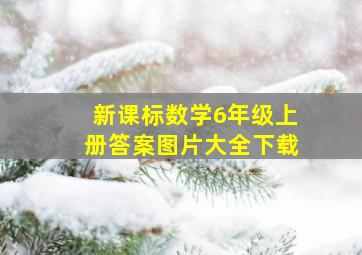 新课标数学6年级上册答案图片大全下载