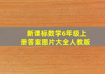 新课标数学6年级上册答案图片大全人教版