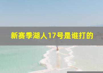 新赛季湖人17号是谁打的