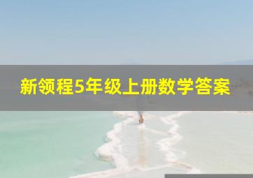 新领程5年级上册数学答案