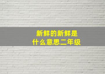 新鲜的新鲜是什么意思二年级