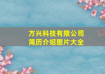 方兴科技有限公司简历介绍图片大全