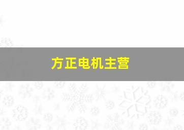 方正电机主营