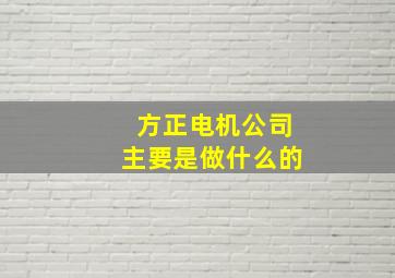 方正电机公司主要是做什么的