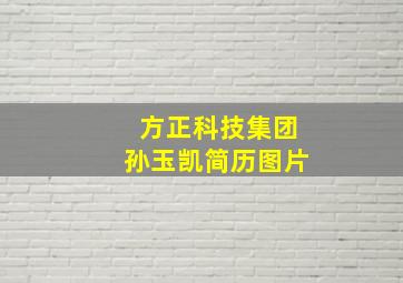 方正科技集团孙玉凯简历图片