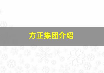 方正集团介绍