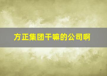 方正集团干嘛的公司啊