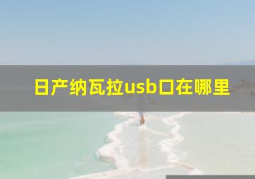 日产纳瓦拉usb口在哪里