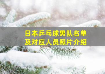 日本乒乓球男队名单及对应人员照片介绍