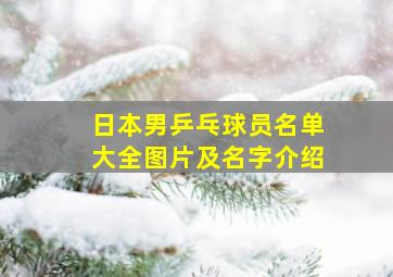 日本男乒乓球员名单大全图片及名字介绍