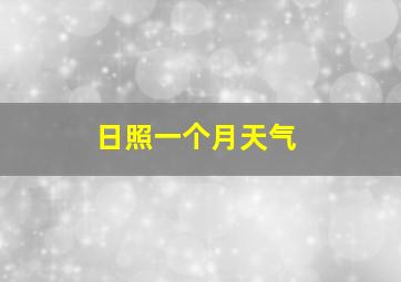 日照一个月天气