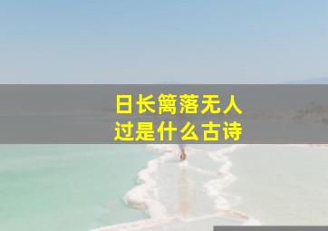 日长篱落无人过是什么古诗