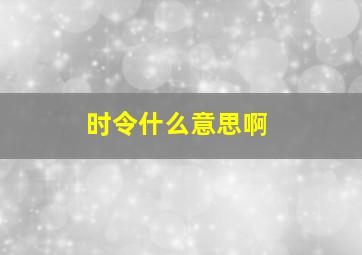 时令什么意思啊