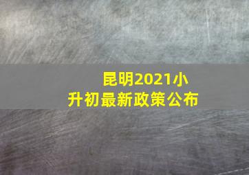 昆明2021小升初最新政策公布