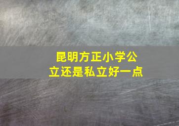 昆明方正小学公立还是私立好一点