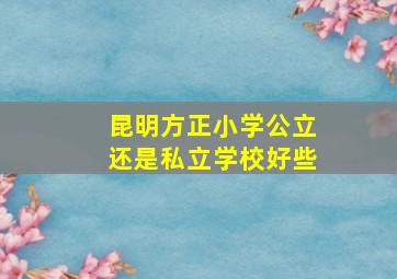 昆明方正小学公立还是私立学校好些