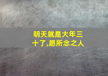 明天就是大年三十了,愿所念之人