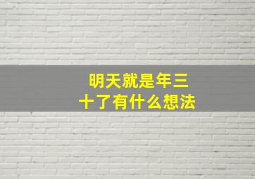 明天就是年三十了有什么想法