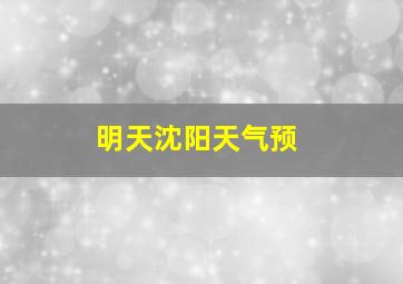 明天沈阳天气预