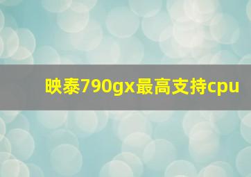 映泰790gx最高支持cpu