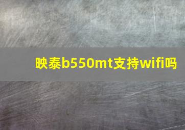 映泰b550mt支持wifi吗