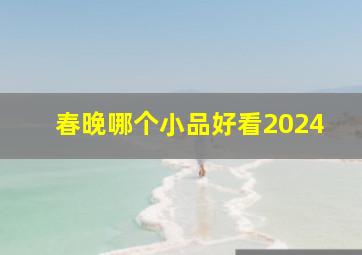 春晚哪个小品好看2024