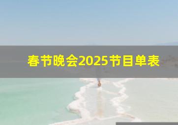 春节晚会2025节目单表