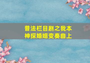 普法栏目剧之我本神探婚姻变奏曲上