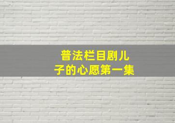 普法栏目剧儿子的心愿第一集