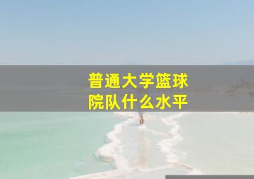 普通大学篮球院队什么水平