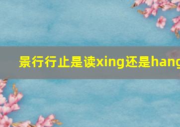 景行行止是读xing还是hang