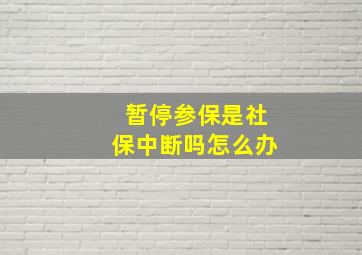 暂停参保是社保中断吗怎么办