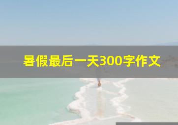 暑假最后一天300字作文