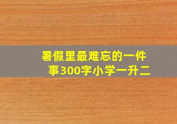 暑假里最难忘的一件事300字小学一升二