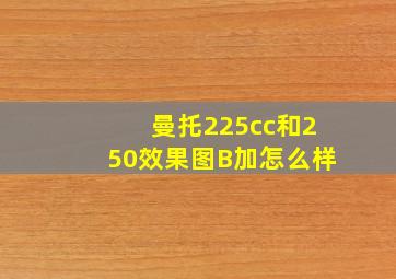 曼托225cc和250效果图B加怎么样