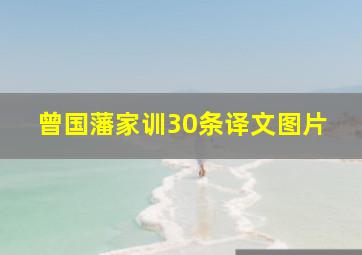 曾国藩家训30条译文图片