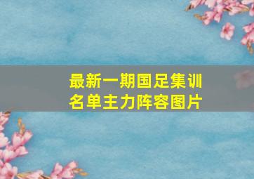 最新一期国足集训名单主力阵容图片