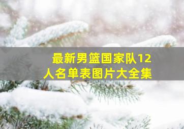 最新男篮国家队12人名单表图片大全集